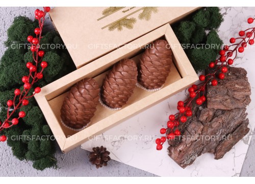 Шоколадный набор Шишкин лес